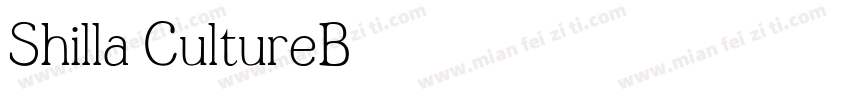 Shilla CultureB字体转换